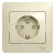 Glossa РОЗЕТКА с заземлением со шторками, 16А, в сборе, БЕЖЕВЫЙ, GSL000244, Systeme Electric