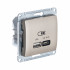 Glossa USB РОЗЕТКА А + тип-С 45Вт высокоскоростная зарядка QC, PD, механизм, ТИТАН, GSL000429, Systeme Electric 
