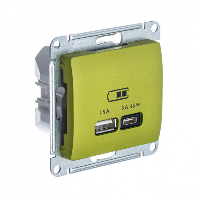 Glossa USB РОЗЕТКА А + тип-С 45Вт высокоскоростная зарядка QC, PD, мех., ФИСТАШКОВЫЙ, GSL001029, Systeme Electric 