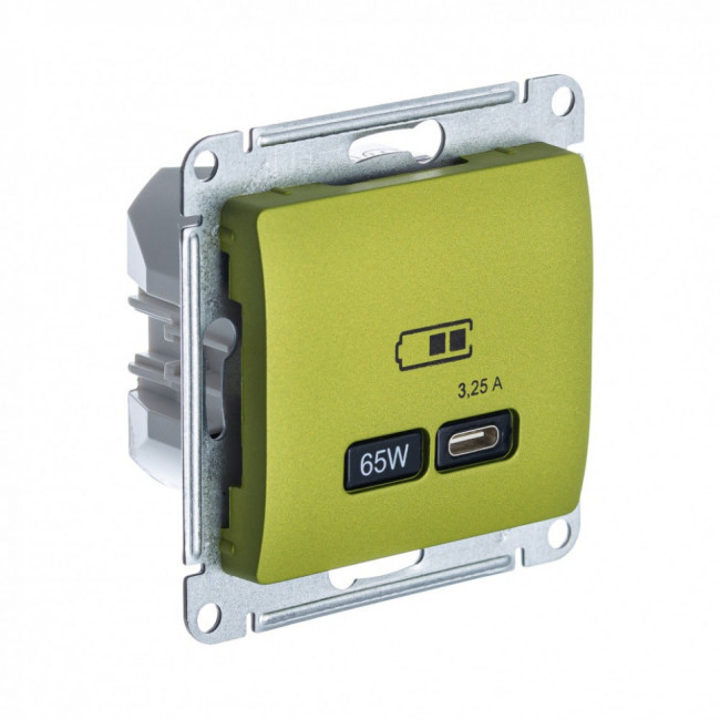 Glossa USB РОЗЕТКА тип-C 65Вт высокоскоростная зарядка QC, PD, механизм, ФИСТАШКОВЫЙ, GSL001027, Systeme Electric 