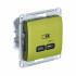 Glossa USB РОЗЕТКА тип-C 65Вт высокоскоростная зарядка QC, PD, механизм, ФИСТАШКОВЫЙ, GSL001027, Systeme Electric 